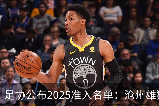 足协公布2025准入名单：沧州雄狮、广州队无缘